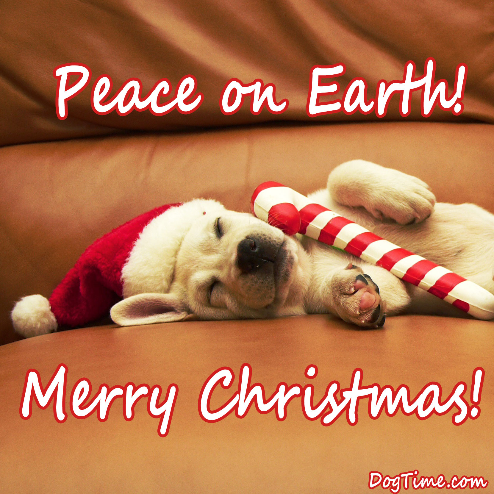 Peace On Earth