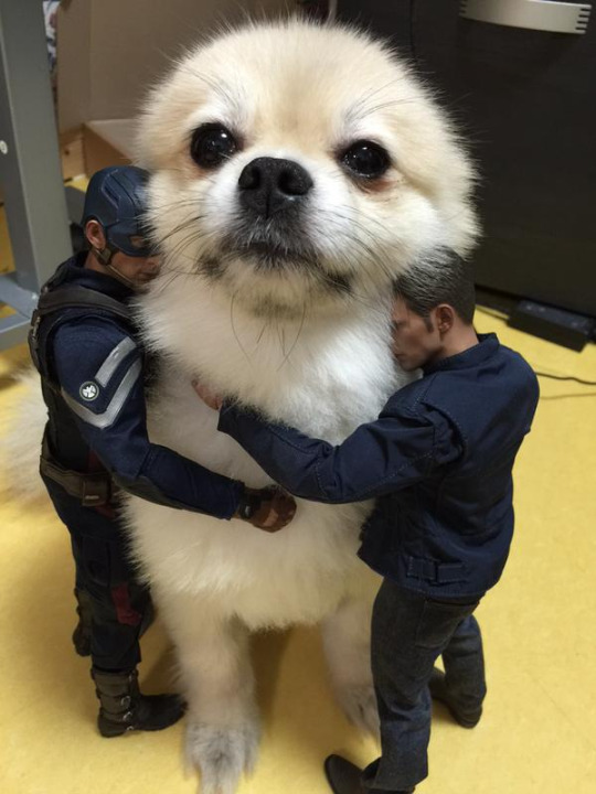 Nothing like hugging a giant pooch!