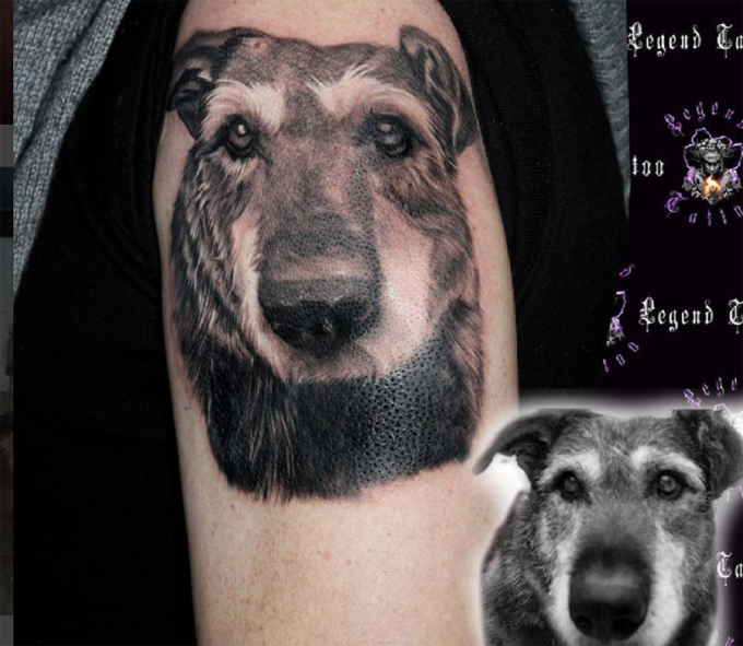 Dog Owner Pet Tattoo