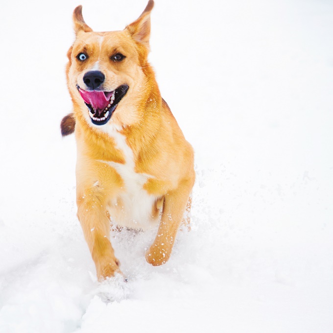 Throw the ball already!