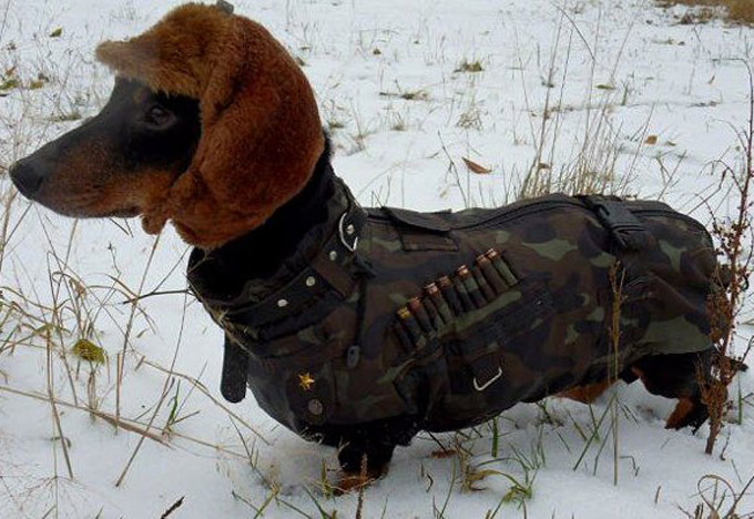 Militant Wiener