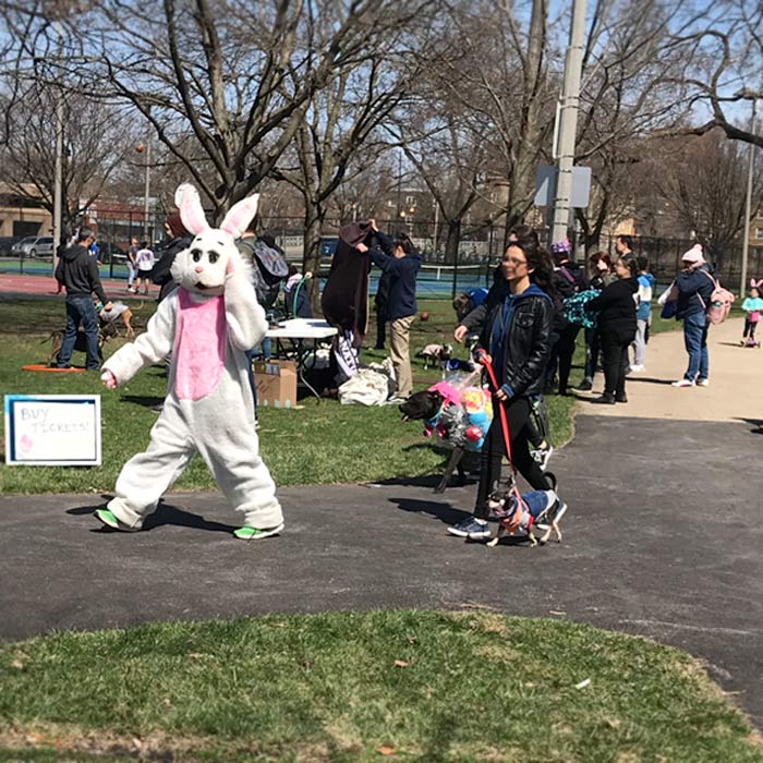 Horner Park Easter Dog Parade Pictures