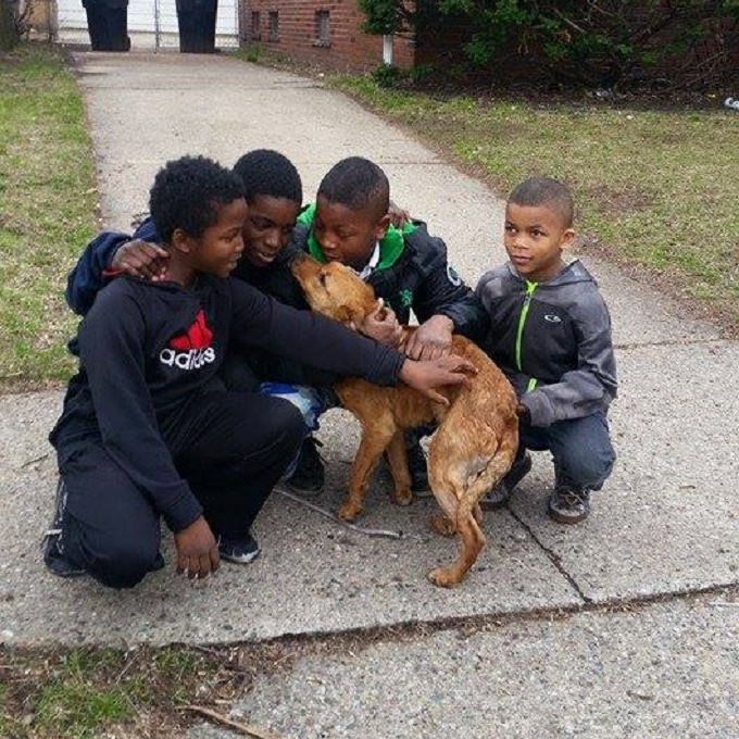 Four Boys Rescue A Dog Who Was Abandoned And Tied To A Vacant House