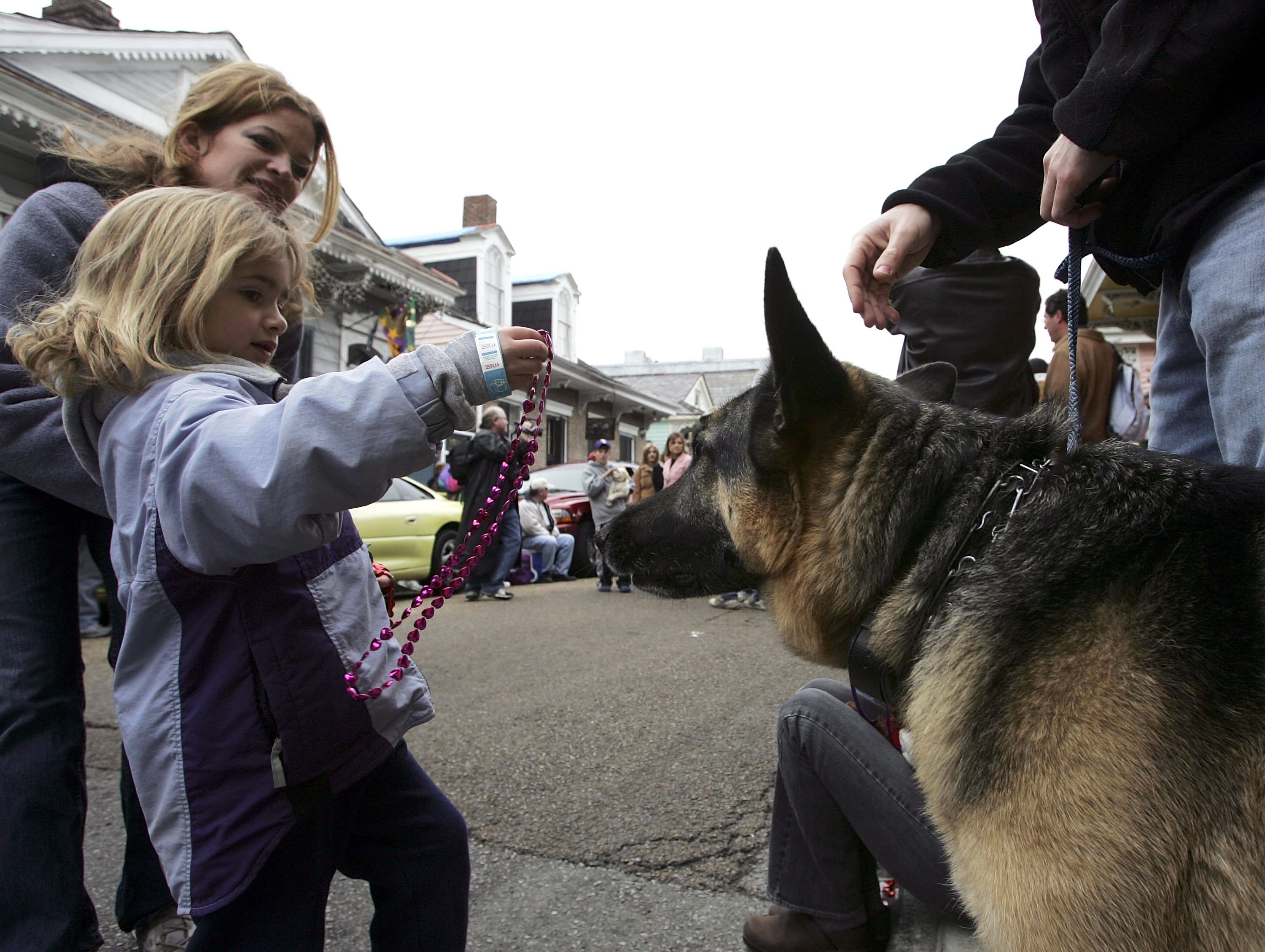 Mardi Gras Dogs!