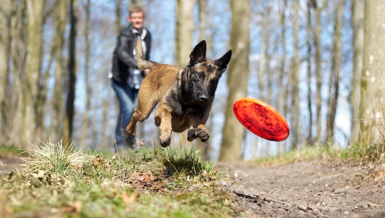 Not Adjusting For Your Dog's Individuality