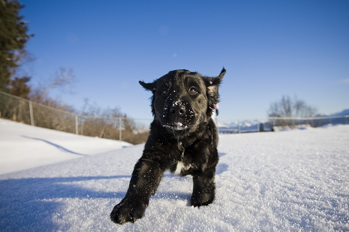 Oh, man! I love this cold stuff!