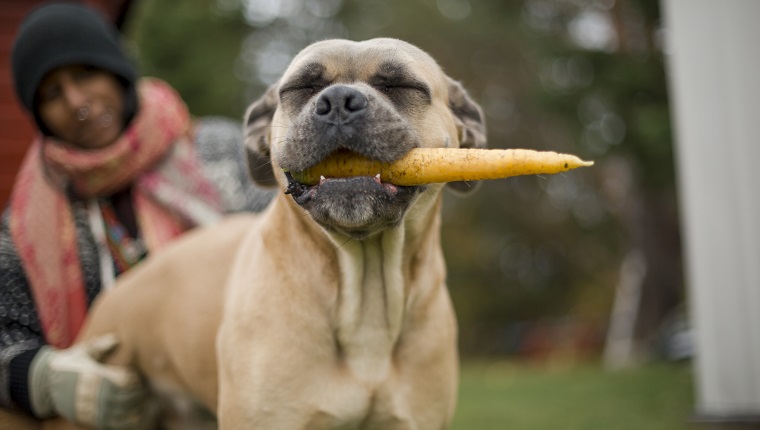 Crunchy Treats