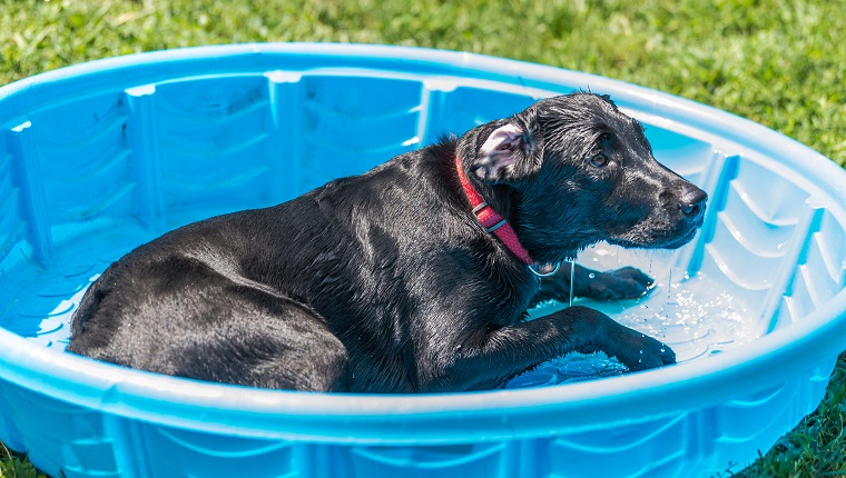 Kiddie Pools And Sandboxes