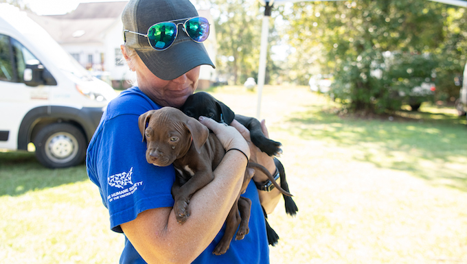 Dogs Rescued from Dogfighting Ring