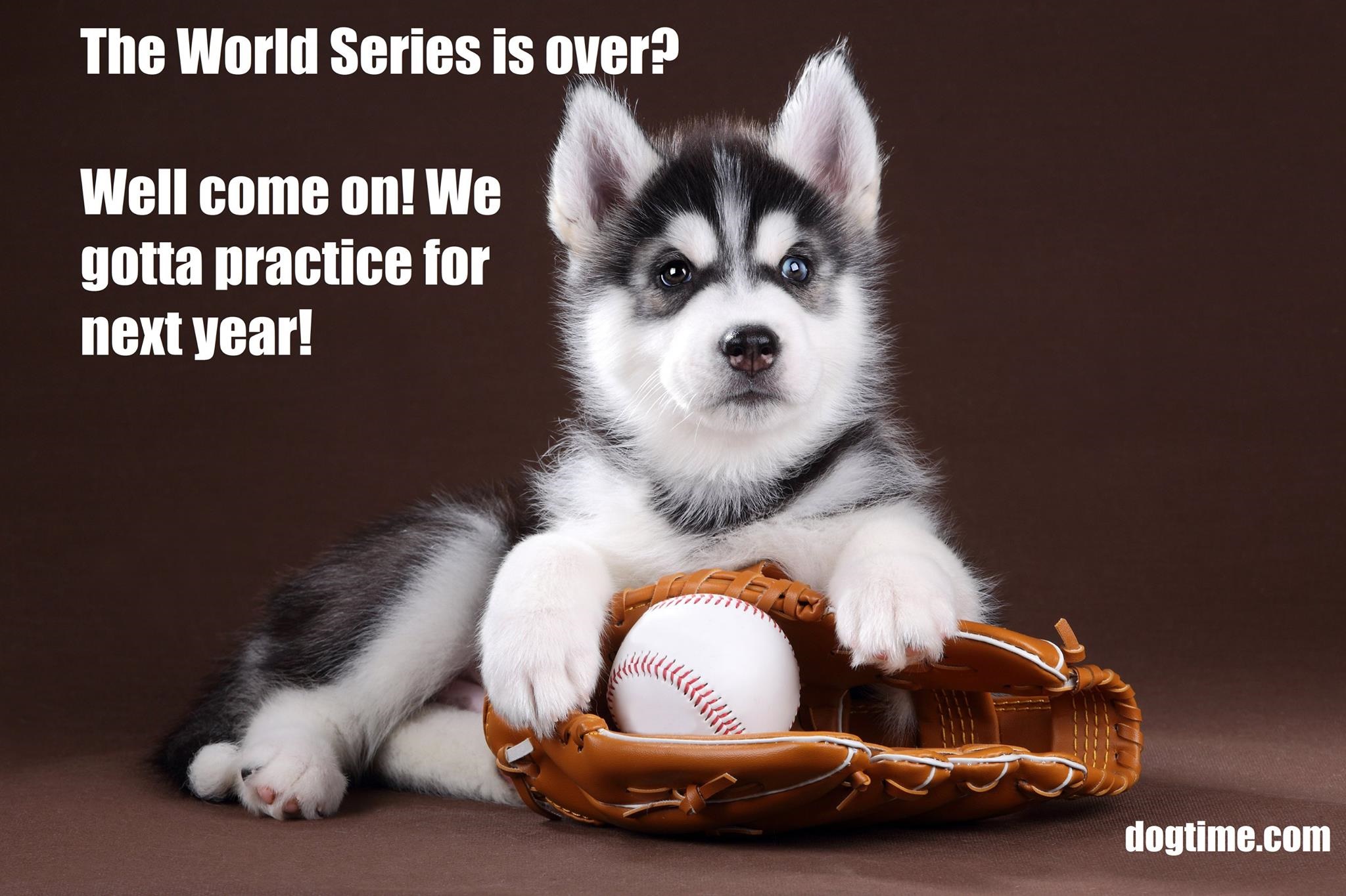 World Series