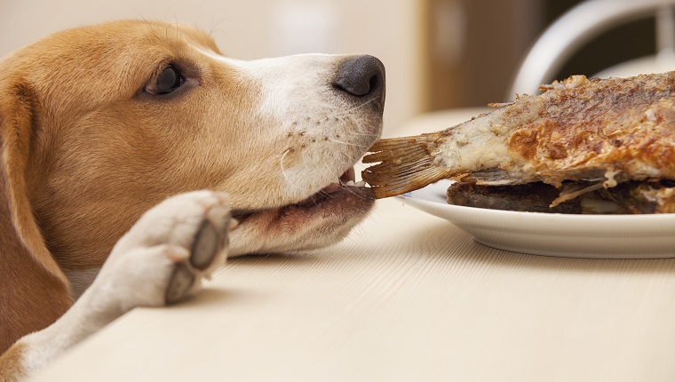 Snack Foods Should Be Kept Out Of Reach