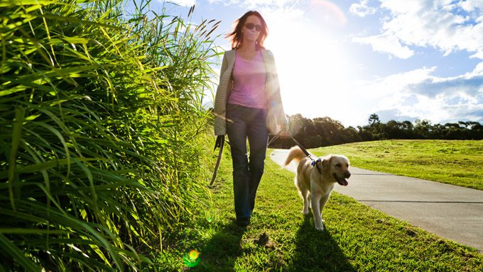 Maintain Your Pet's Regular Routine