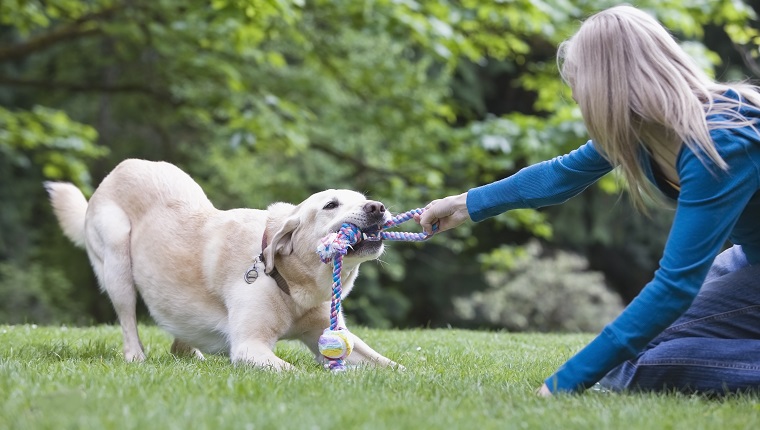 Chewing Can Keep Teeth Clean