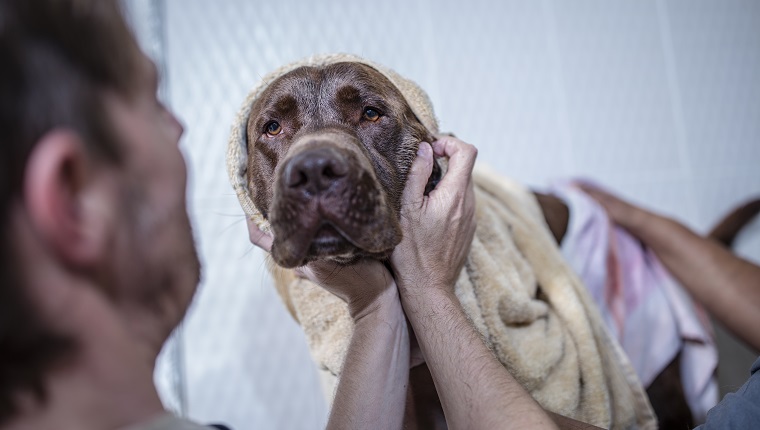 Towel Off & Dry Right Away