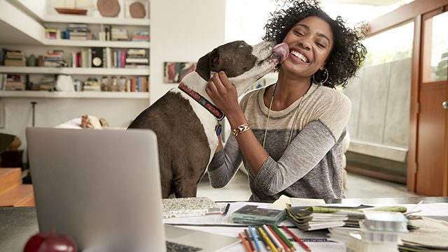 Dogs Help You Meet People