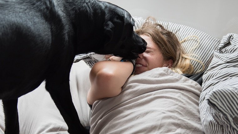 Your Dog's Schedule Is Your New Schedule